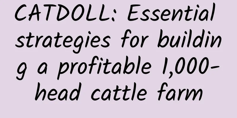 CATDOLL: Essential strategies for building a profitable 1,000-head cattle farm