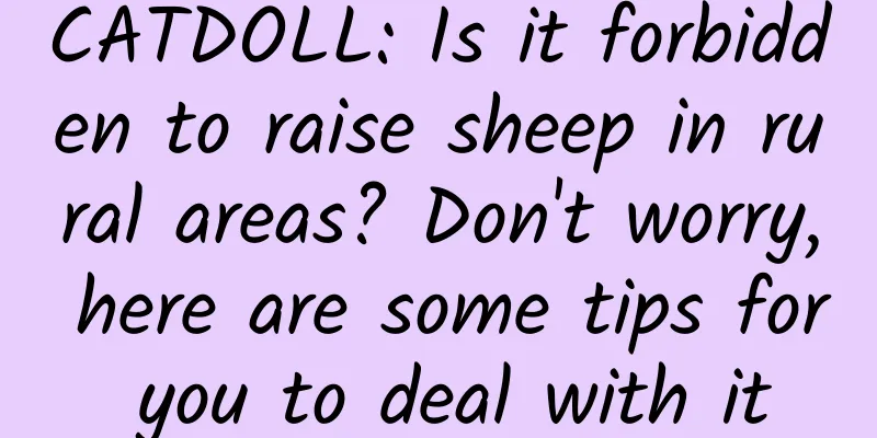 CATDOLL: Is it forbidden to raise sheep in rural areas? Don't worry, here are some tips for you to deal with it