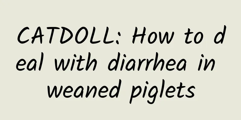 CATDOLL: How to deal with diarrhea in weaned piglets