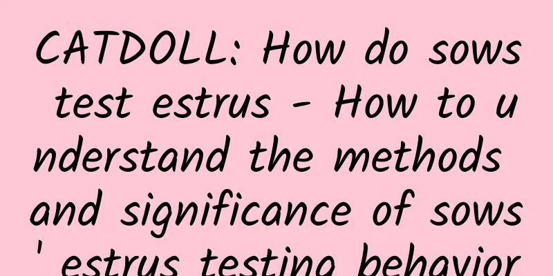 CATDOLL: How do sows test estrus - How to understand the methods and significance of sows' estrus testing behavior