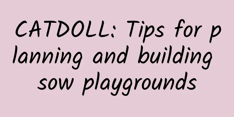 CATDOLL: Tips for planning and building sow playgrounds