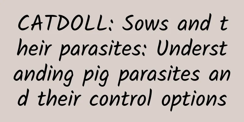 CATDOLL: Sows and their parasites: Understanding pig parasites and their control options
