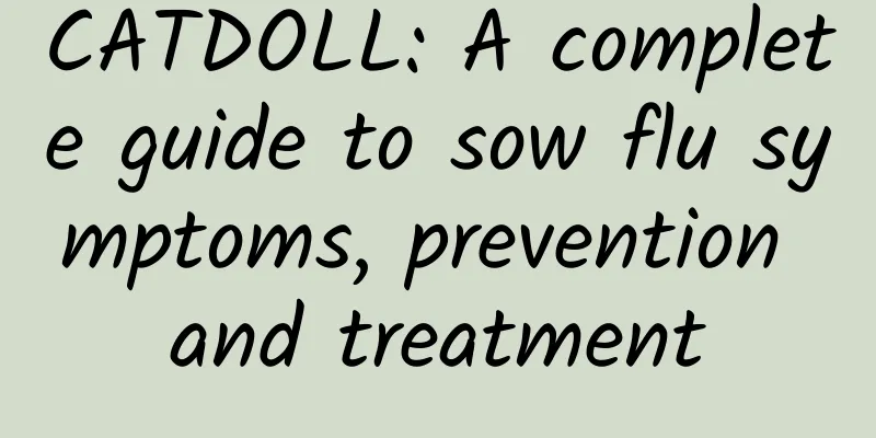 CATDOLL: A complete guide to sow flu symptoms, prevention and treatment