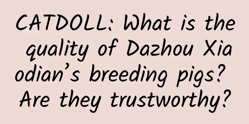 CATDOLL: What is the quality of Dazhou Xiaodian’s breeding pigs? Are they trustworthy?