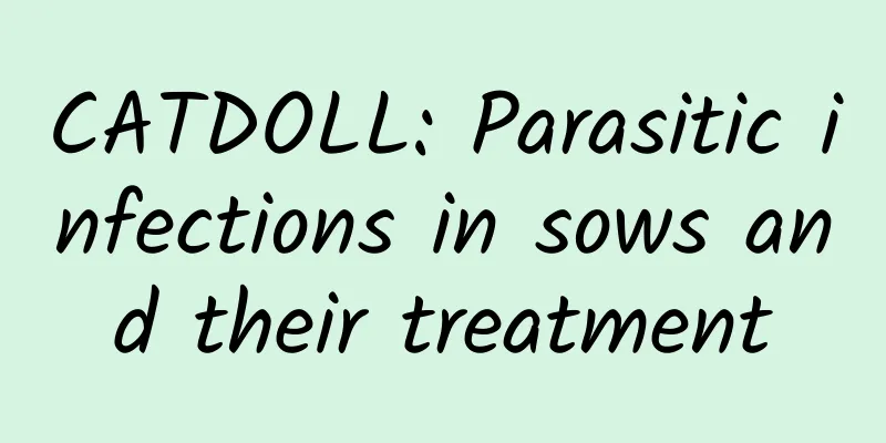 CATDOLL: Parasitic infections in sows and their treatment