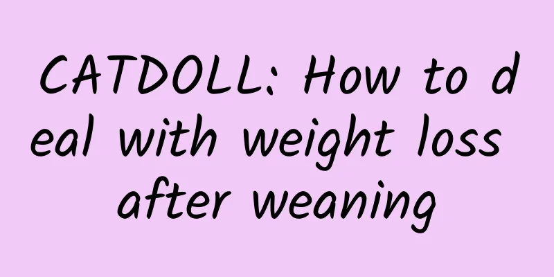 CATDOLL: How to deal with weight loss after weaning