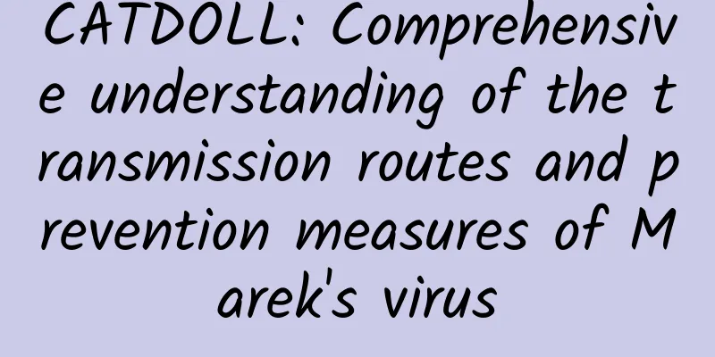 CATDOLL: Comprehensive understanding of the transmission routes and prevention measures of Marek's virus