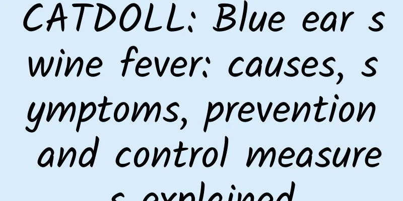 CATDOLL: Blue ear swine fever: causes, symptoms, prevention and control measures explained