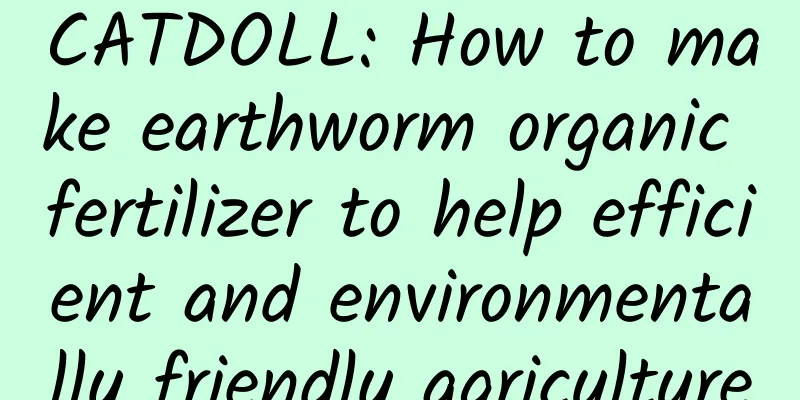 CATDOLL: How to make earthworm organic fertilizer to help efficient and environmentally friendly agriculture