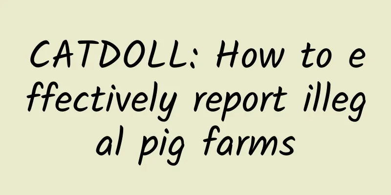 CATDOLL: How to effectively report illegal pig farms