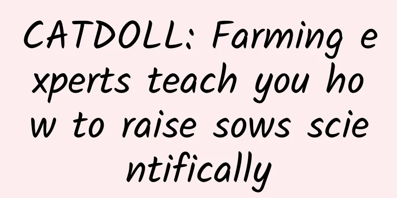 CATDOLL: Farming experts teach you how to raise sows scientifically