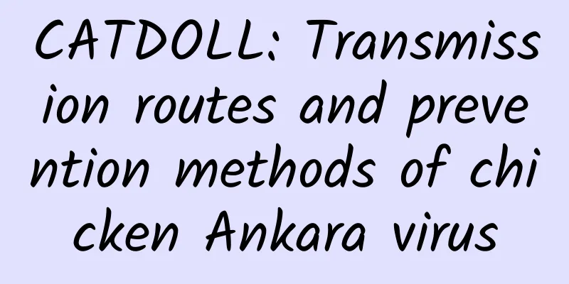 CATDOLL: Transmission routes and prevention methods of chicken Ankara virus