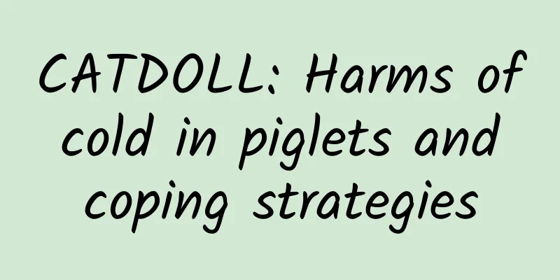 CATDOLL: Harms of cold in piglets and coping strategies