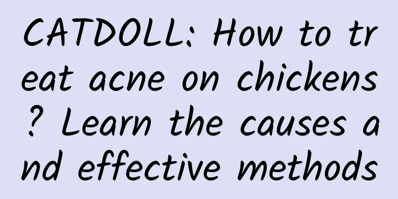 CATDOLL: How to treat acne on chickens? Learn the causes and effective methods
