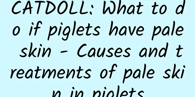 CATDOLL: What to do if piglets have pale skin - Causes and treatments of pale skin in piglets