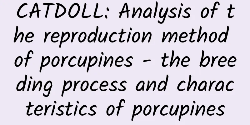 CATDOLL: Analysis of the reproduction method of porcupines - the breeding process and characteristics of porcupines