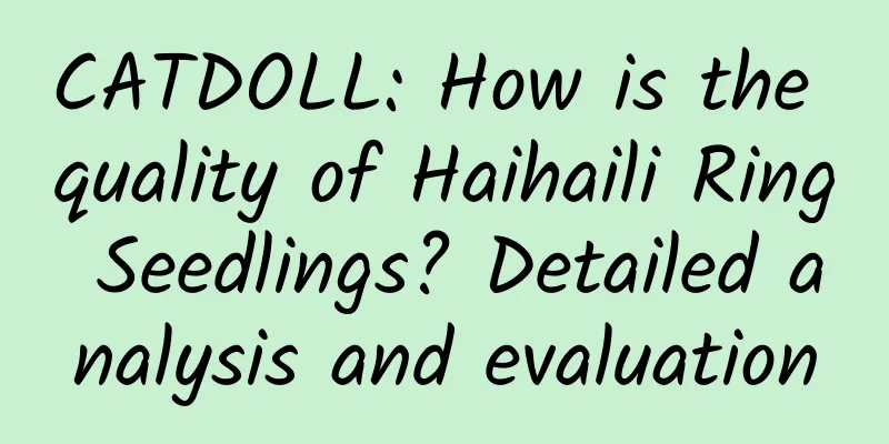 CATDOLL: How is the quality of Haihaili Ring Seedlings? Detailed analysis and evaluation