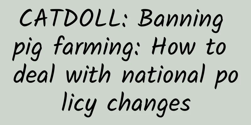 CATDOLL: Banning pig farming: How to deal with national policy changes