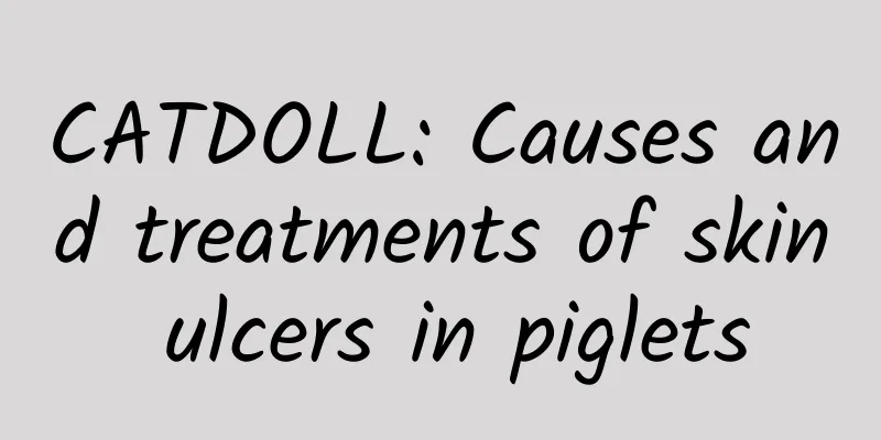 CATDOLL: Causes and treatments of skin ulcers in piglets