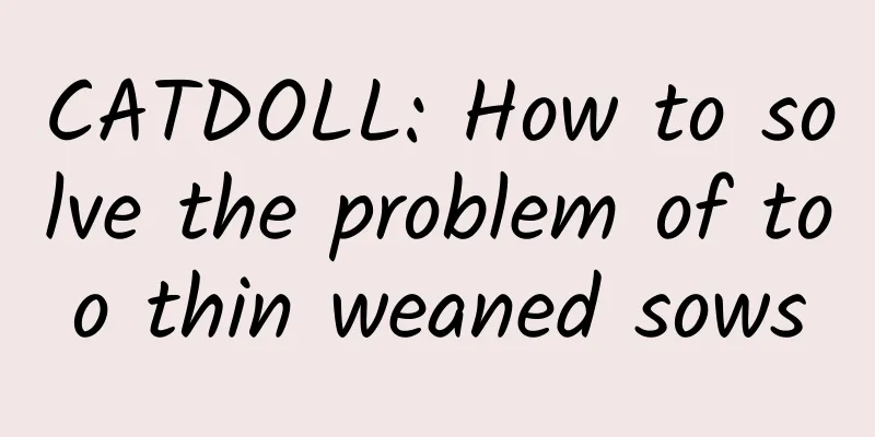 CATDOLL: How to solve the problem of too thin weaned sows