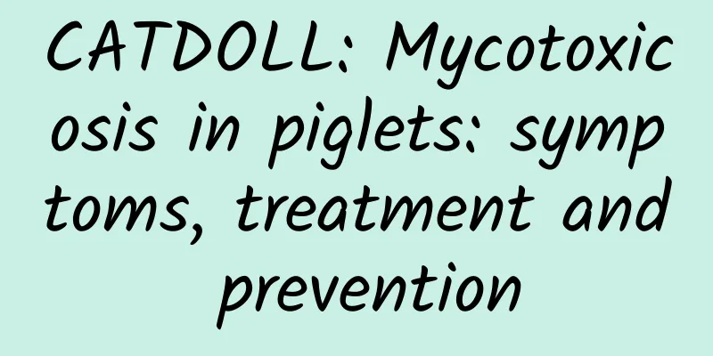 CATDOLL: Mycotoxicosis in piglets: symptoms, treatment and prevention