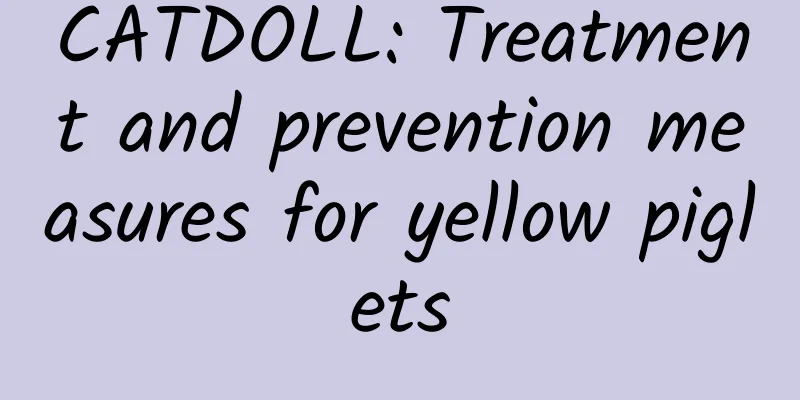 CATDOLL: Treatment and prevention measures for yellow piglets