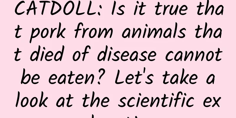 CATDOLL: Is it true that pork from animals that died of disease cannot be eaten? Let's take a look at the scientific explanation