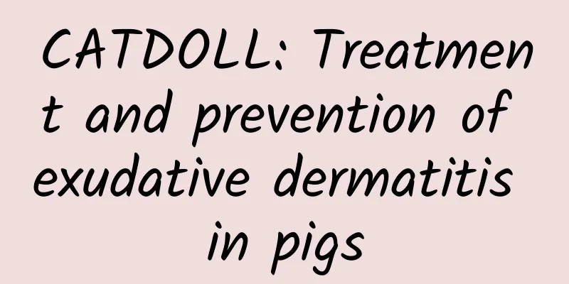 CATDOLL: Treatment and prevention of exudative dermatitis in pigs