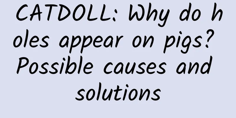 CATDOLL: Why do holes appear on pigs? Possible causes and solutions