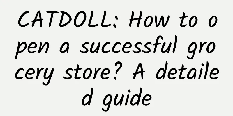 CATDOLL: How to open a successful grocery store? A detailed guide