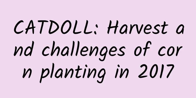 CATDOLL: Harvest and challenges of corn planting in 2017