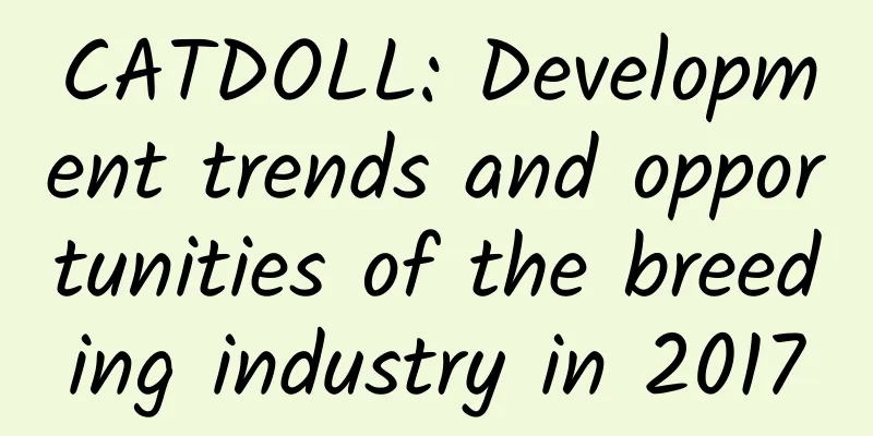 CATDOLL: Development trends and opportunities of the breeding industry in 2017