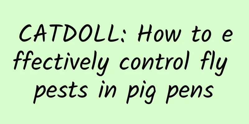CATDOLL: How to effectively control fly pests in pig pens