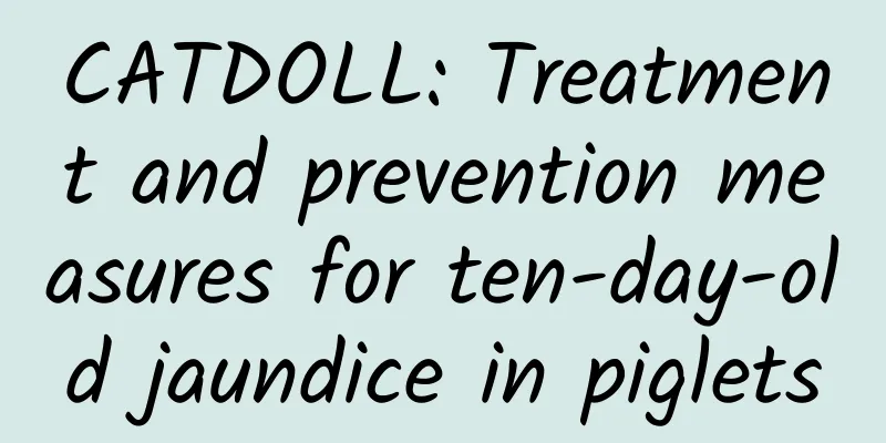 CATDOLL: Treatment and prevention measures for ten-day-old jaundice in piglets