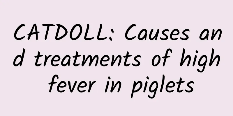 CATDOLL: Causes and treatments of high fever in piglets