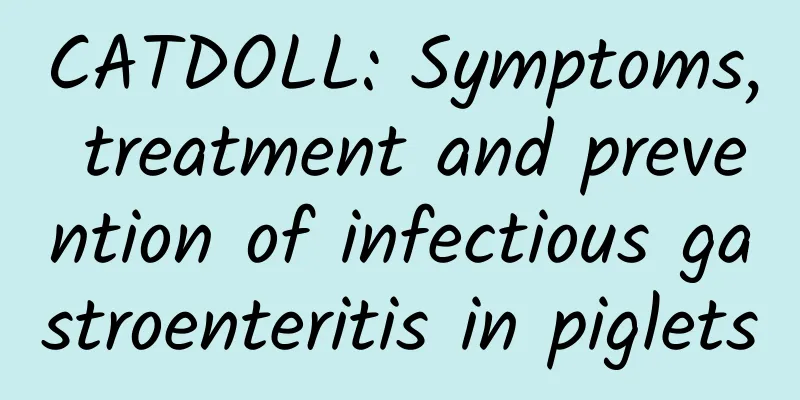 CATDOLL: Symptoms, treatment and prevention of infectious gastroenteritis in piglets