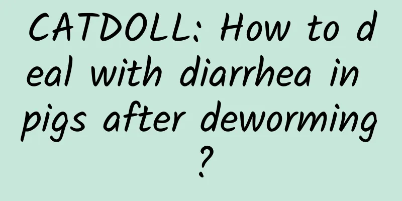 CATDOLL: How to deal with diarrhea in pigs after deworming?