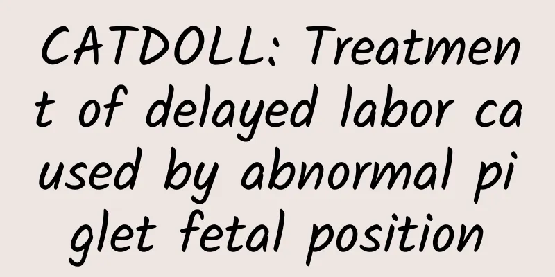 CATDOLL: Treatment of delayed labor caused by abnormal piglet fetal position