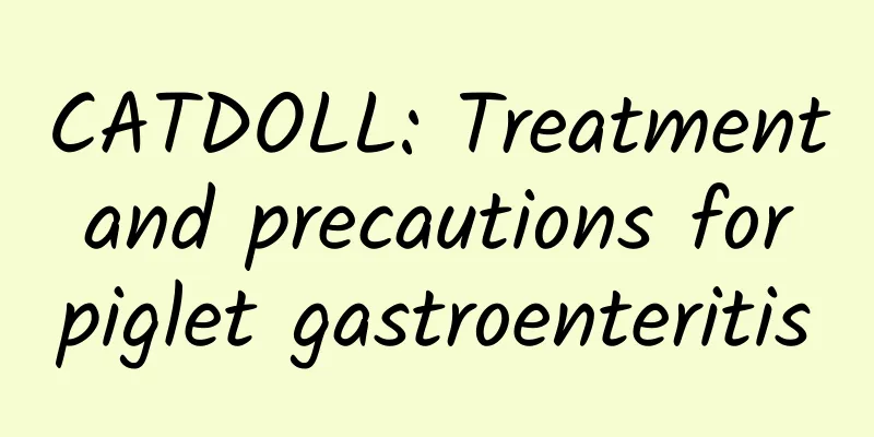 CATDOLL: Treatment and precautions for piglet gastroenteritis