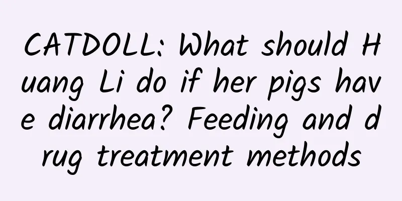 CATDOLL: What should Huang Li do if her pigs have diarrhea? Feeding and drug treatment methods