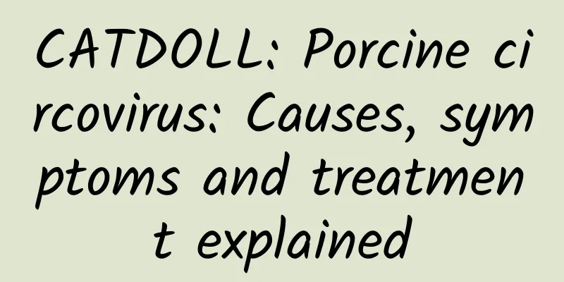 CATDOLL: Porcine circovirus: Causes, symptoms and treatment explained
