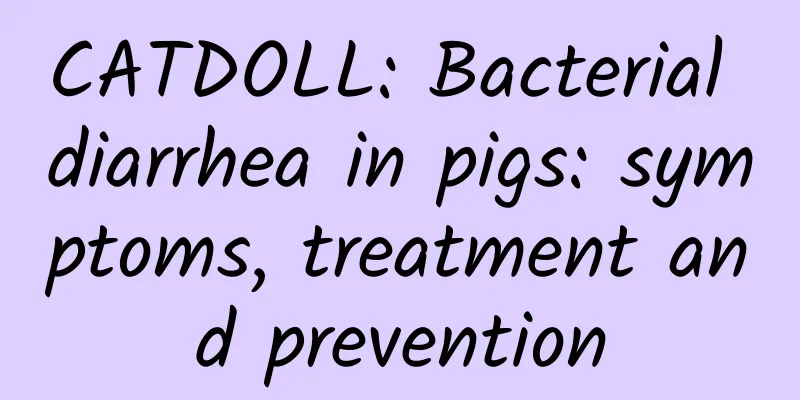 CATDOLL: Bacterial diarrhea in pigs: symptoms, treatment and prevention