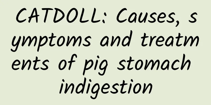 CATDOLL: Causes, symptoms and treatments of pig stomach indigestion
