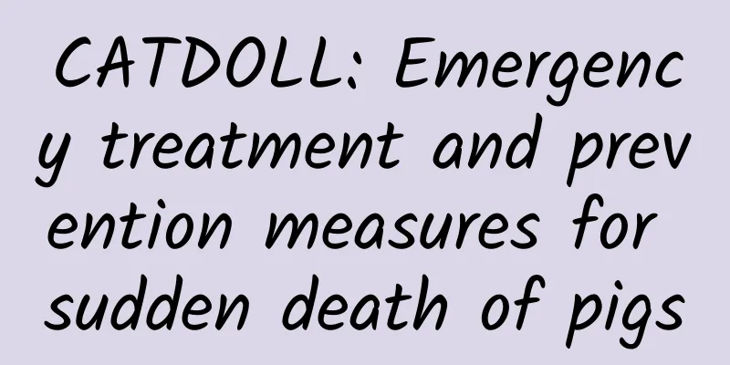 CATDOLL: Emergency treatment and prevention measures for sudden death of pigs