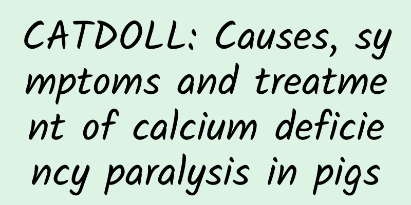 CATDOLL: Causes, symptoms and treatment of calcium deficiency paralysis in pigs