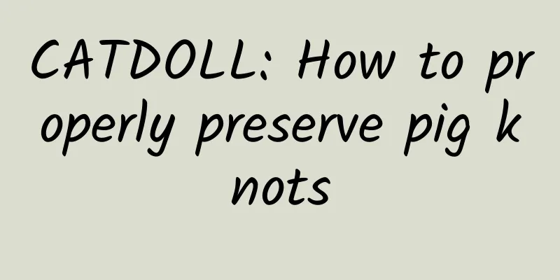 CATDOLL: How to properly preserve pig knots