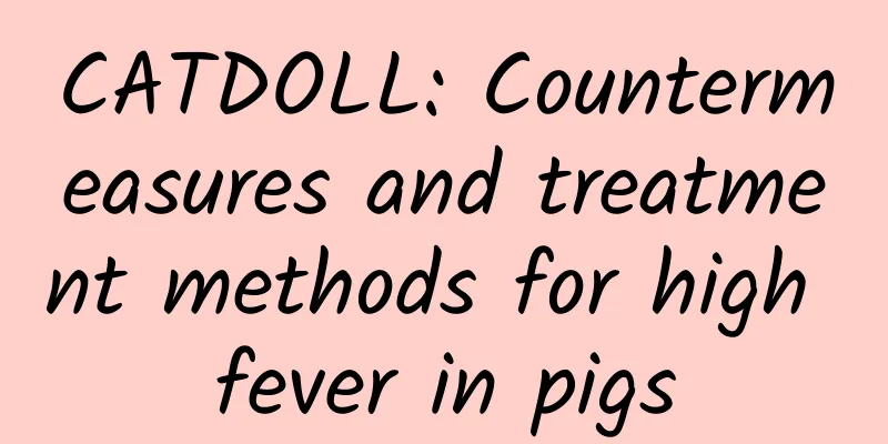 CATDOLL: Countermeasures and treatment methods for high fever in pigs