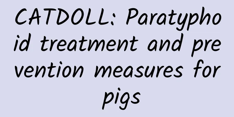 CATDOLL: Paratyphoid treatment and prevention measures for pigs