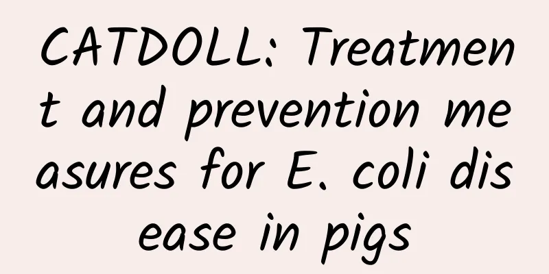 CATDOLL: Treatment and prevention measures for E. coli disease in pigs