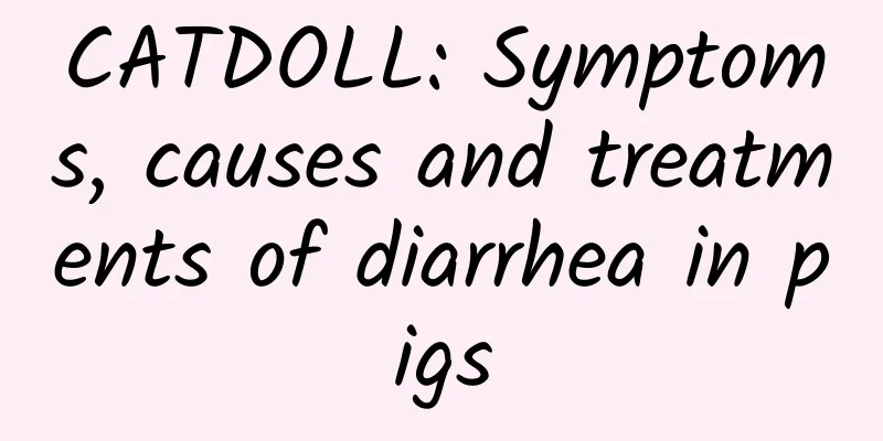 CATDOLL: Symptoms, causes and treatments of diarrhea in pigs